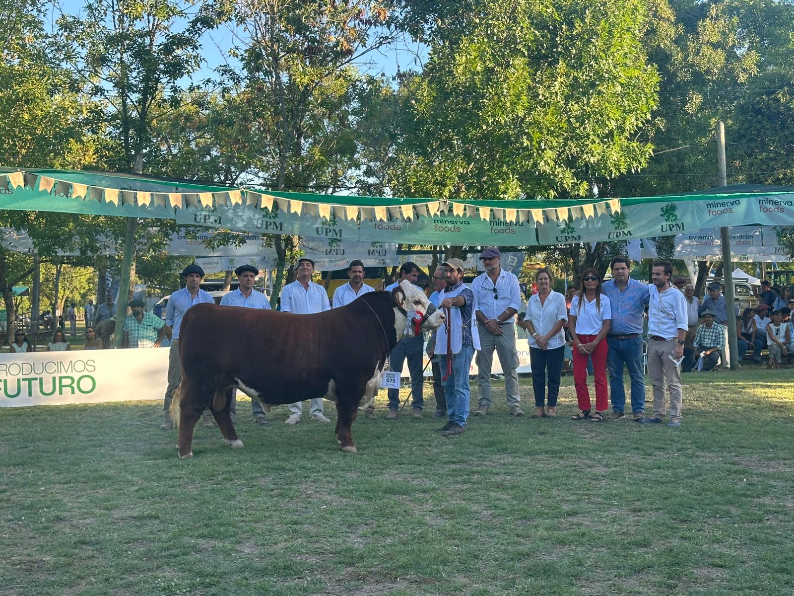 Clase, carne y sello: el Hereford brilló en una fantástica Expo Durazno