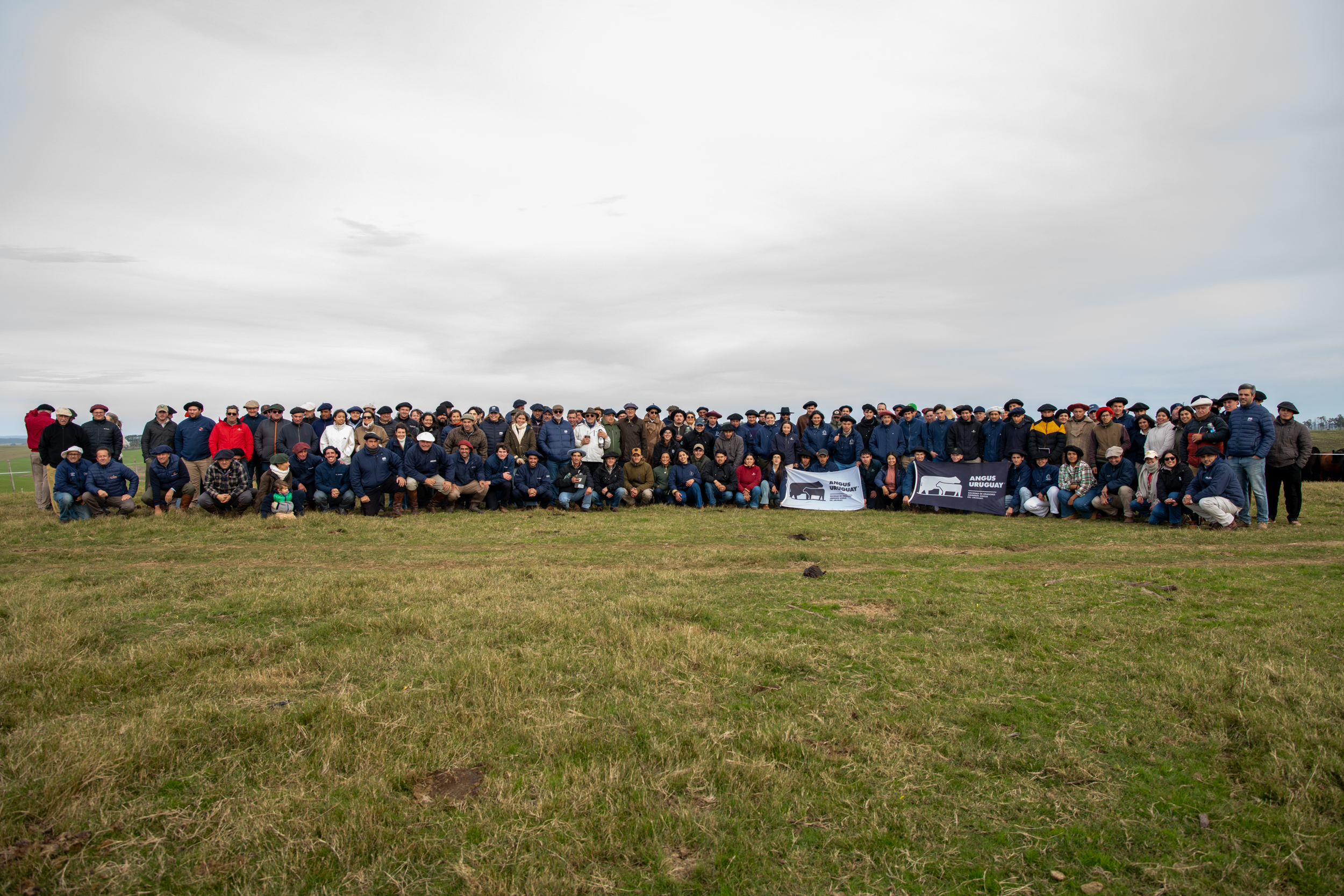 Gira Angus en Cerro Largo: rusticidad y fertilidad para pisar fuerte y ganarse su lugar en el este del país