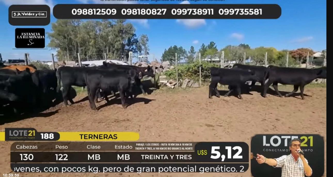 En Lote 21, récord para las terneras: US$ 5,12 un lote de La Iluminada