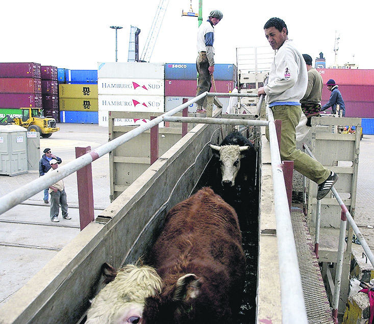 Crecen las exportaciones de ganado en pie de México a EE.UU.