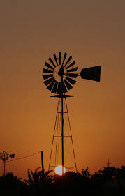 Plaza Rural: 10.514 terneros vendidos a US$ 4,05 de promedio